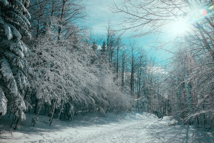 Blog